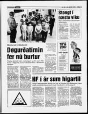Síða 13