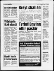 Síða 9