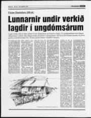 Síða 12