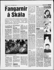 Síða 20