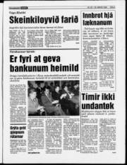 Síða 3