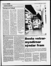 Síða 19