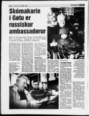 Síða 6