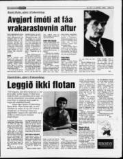 Síða 13