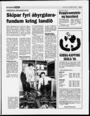 Síða 3