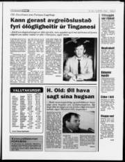 Síða 5