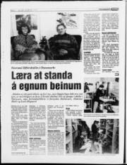 Síða 6