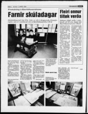 Síða 6