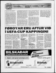 Síða 2