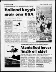Síða 3