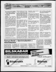 Síða 2