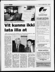 Síða 5