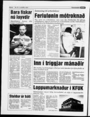 Síða 6