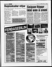 Síða 11