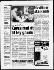 Síða 5