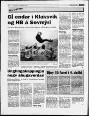 Síða 8
