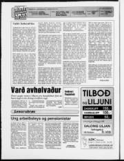 Síða 2
