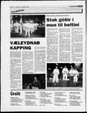 Síða 12