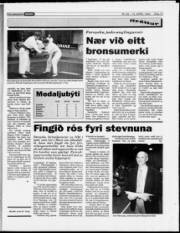 Síða 13