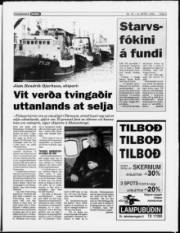 Síða 5
