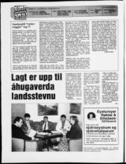 Síða 2