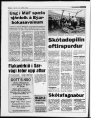 Síða 6
