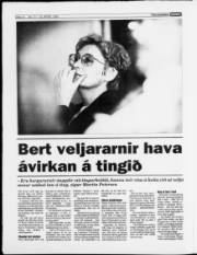 Síða 12