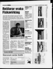 Síða 23