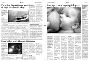 Síða 3