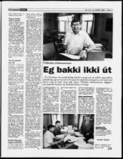 Síða 11