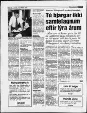 Síða 12