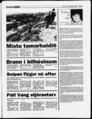 Síða 7