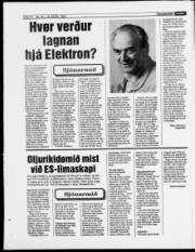 Síða 14