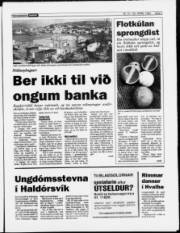 Síða 3
