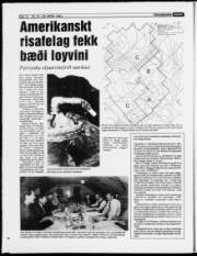 Síða 12