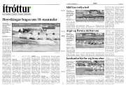 Síða 10