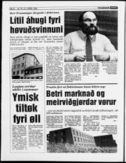 Síða 6
