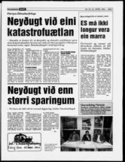 Síða 7