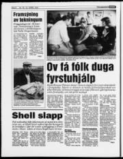 Síða 8