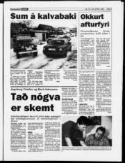 Síða 3
