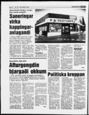 Síða 6