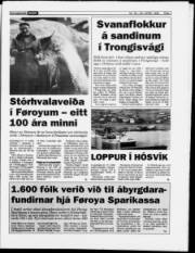 Síða 7