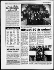 Síða 8