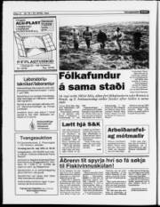 Síða 10