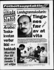 Síða 1