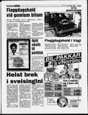 Síða 3