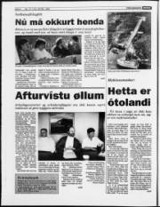 Síða 4