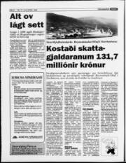 Síða 6