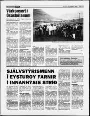 Síða 13