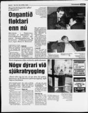 Síða 8